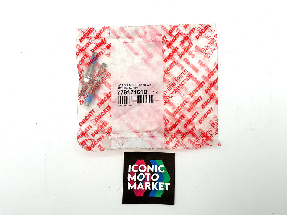 Ducati Panigale 1299, 1199, 959, 899 - Screws, TEF M6x25. Pack of 2. NOS (OEM) #77917161B