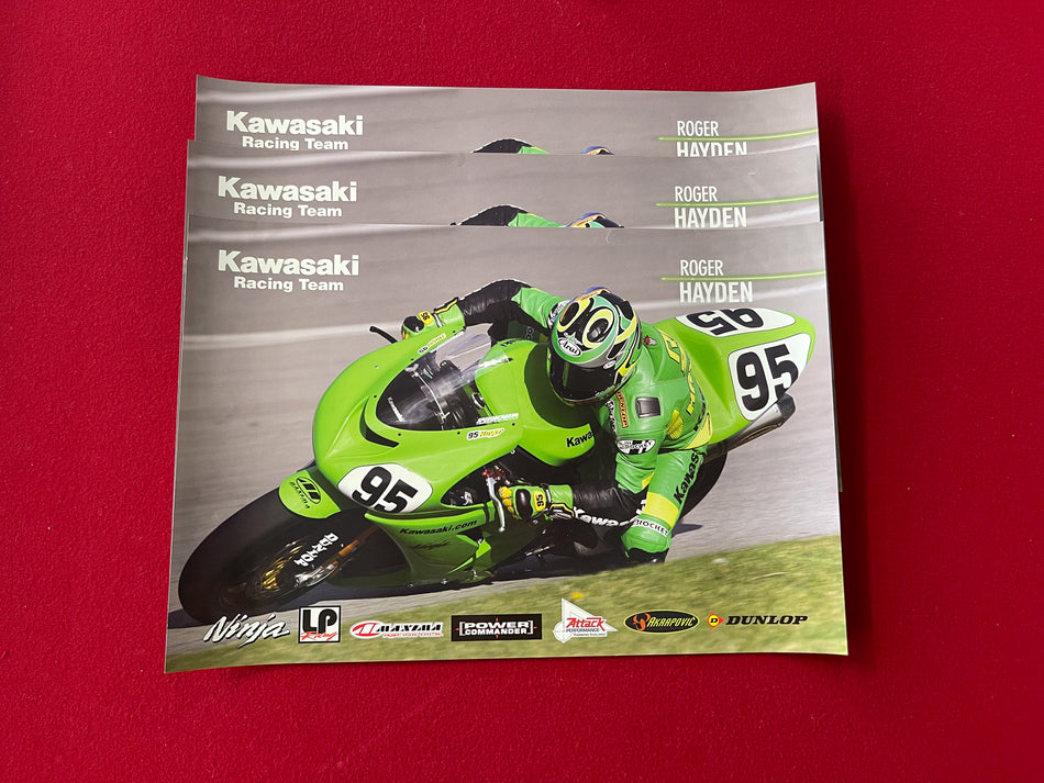 Team Kawasaki Poster - Roger Hayden -  13" x 20"