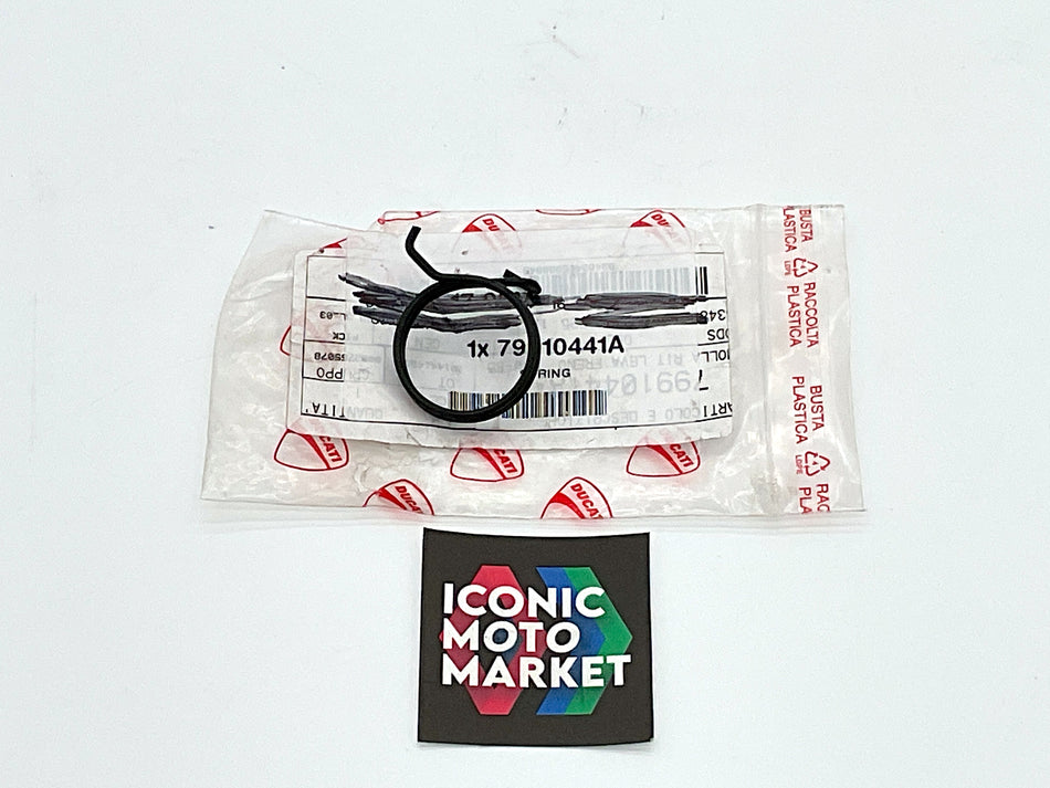 Ducati 900SS, 750SS, 600SS, 400SS, Monster - Spring, for Rear Brake. NOS (OEM) #79910441A