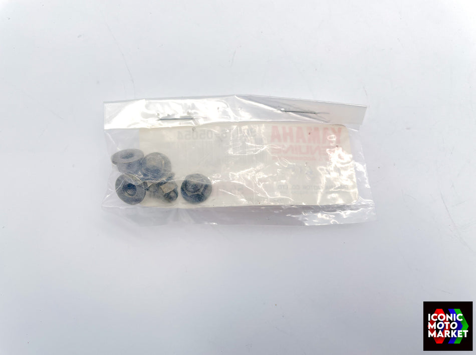 Yamaha RD500, YZF-R6, WR250 - Nut, Crown. (47X) 5 Pack. NOS (OEM) #90176-05054